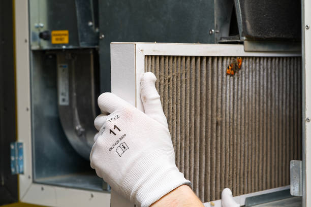 Best Professional Duct Cleaning Services  in Lake Ridge, VA