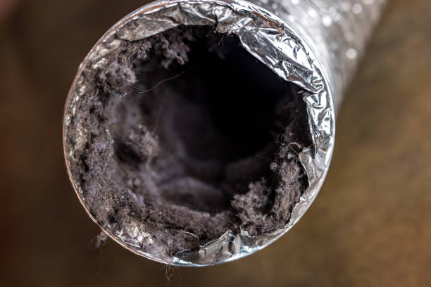 Best Best Air Duct Cleaning Company  in Lake Ridge, VA