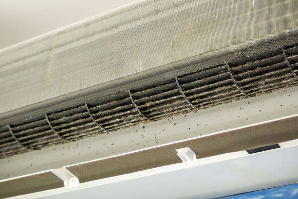 Best Affordable HVAC Duct Cleaning  in Lake Ridge, VA