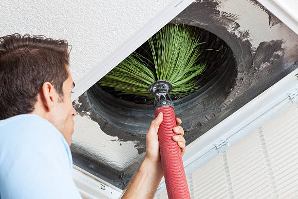 Best Air Duct Inspection  in Lake Ridge, VA